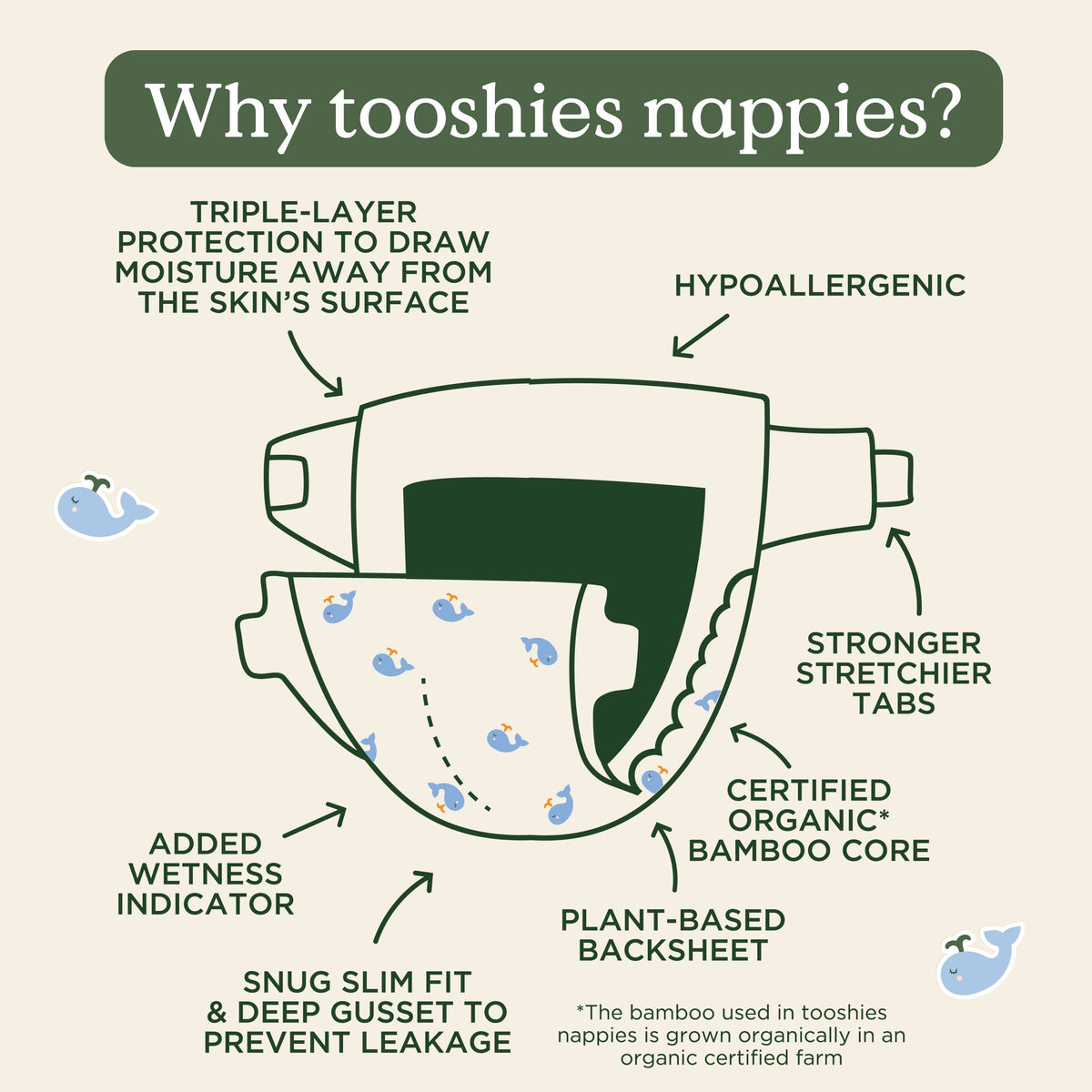 Tooshies disposable nappy construction diagram and features