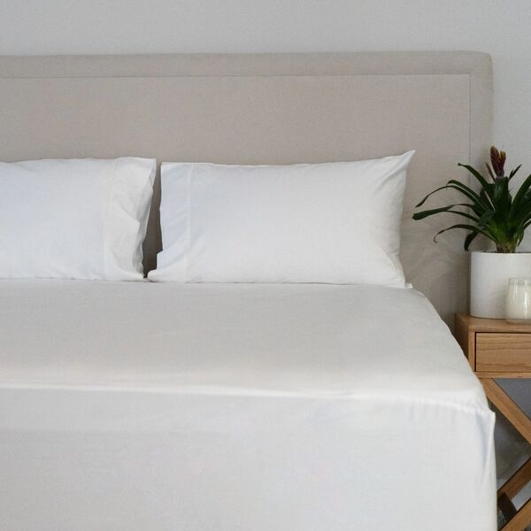 Protect-A-Bed Cumulus Cotton Tailored NeverSlip Fitted Sheet and Pillowcases Queen White 0564WHTQUE0